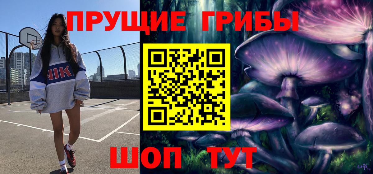 Галлюциногенные грибы прущие грибы Белгород