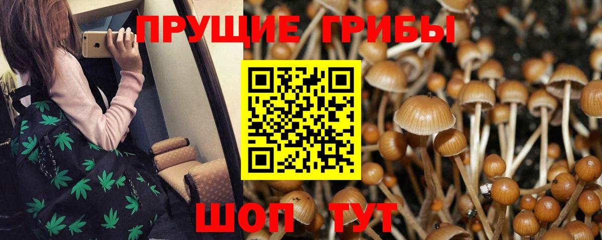 Белгород  Псилоцибиновые грибы Cubensis  Вход с VPN  Галлюциногенные грибы Psilocybe 